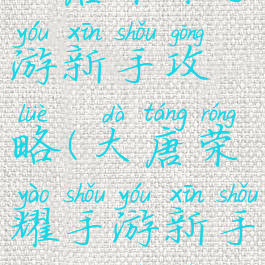 大唐荣耀手游新手攻略(大唐荣耀手游新手攻略视频)