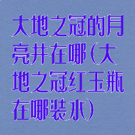 大地之冠的月亮井在哪(大地之冠红玉瓶在哪装水)