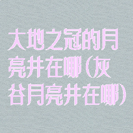 大地之冠的月亮井在哪(灰谷月亮井在哪)