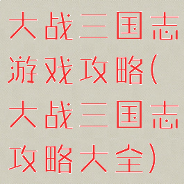 大战三国志游戏攻略(大战三国志攻略大全)