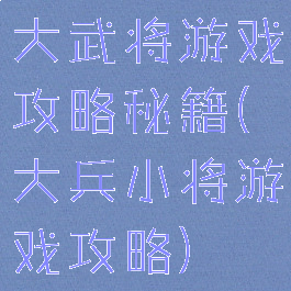 大武将游戏攻略秘籍(大兵小将游戏攻略)