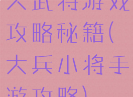 大武将游戏攻略秘籍(大兵小将手游攻略)