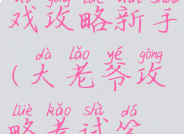 大老爷游戏攻略新手(大老爷攻略考试答案)