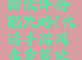 大话手游新伙伴搭配攻略(大话手游同步套装伙伴攻略)