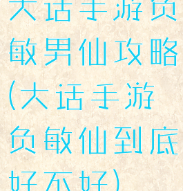大话手游负敏男仙攻略(大话手游负敏仙到底好不好)