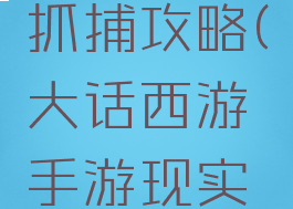 大话西游手游现实抓捕攻略(大话西游手游现实捉宝宝技巧)