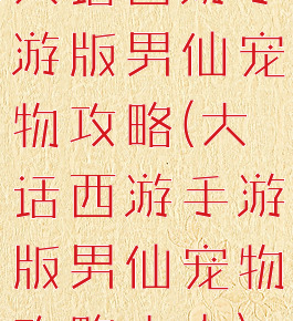 大话西游手游版男仙宠物攻略(大话西游手游版男仙宠物攻略大全)