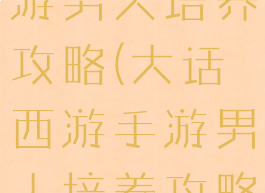 大话西游手游男人培养攻略(大话西游手游男人培养攻略大全)