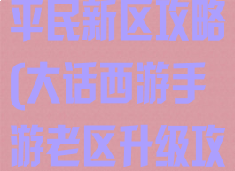 大话西游手游平民新区攻略(大话西游手游老区升级攻略)