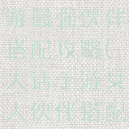 大话西游手游最强伙伴搭配攻略(大话手游女人伙伴搭配攻略)