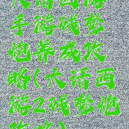 大话西游手游残梦炮养成攻略(大话西游2残梦炮攻略)