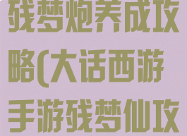 大话西游手游残梦炮养成攻略(大话西游手游残梦仙攻略)