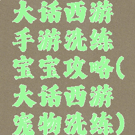 大话西游手游洗练宝宝攻略(大话西游宠物洗练)