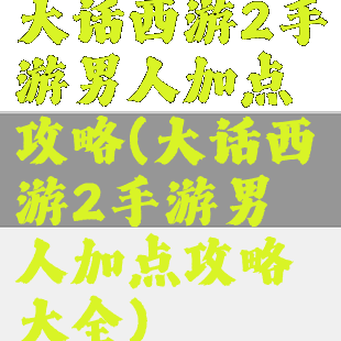 大话西游2手游男人加点攻略(大话西游2手游男人加点攻略大全)