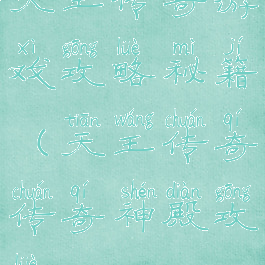 天王传奇游戏攻略秘籍(天王传奇传奇神殿攻略)