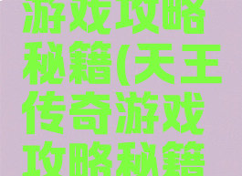 天王传奇游戏攻略秘籍(天王传奇游戏攻略秘籍大全)