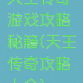 天王传奇游戏攻略秘籍(天王传奇攻略大全)