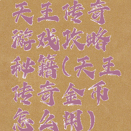 天王传奇游戏攻略秘籍(天王传奇金币怎么用)