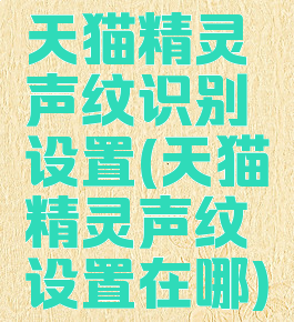 天猫精灵声纹识别设置(天猫精灵声纹设置在哪)