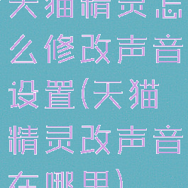 天猫精灵怎么修改声音设置(天猫精灵改声音在哪里)