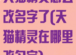 天猫精灵怎么改名字了(天猫精灵在哪里改名字)