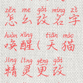 天猫精灵怎么改名字唤醒(天猫精灵更改唤醒名字)