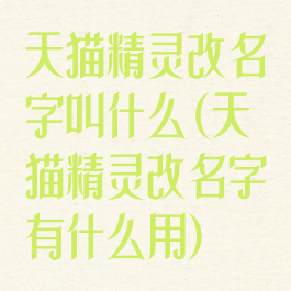 天猫精灵改名字叫什么(天猫精灵改名字有什么用)