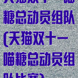 天猫双十一喵糖总动员组队(天猫双十一喵糖总动员组队比赛)