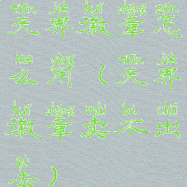 天界徽章怎么用(天界徽章卖不出去)