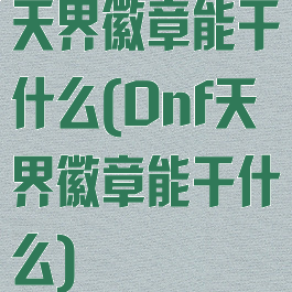 天界徽章能干什么(Dnf天界徽章能干什么)