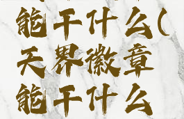 天界徽章能干什么(天界徽章能干什么用)