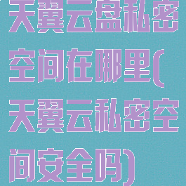 天翼云盘私密空间在哪里(天翼云私密空间安全吗)