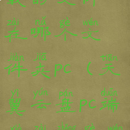 天翼云盘下载的文件在哪个文件夹pc(天翼云盘pc端下载整个文件夹)