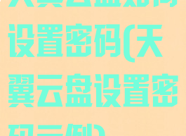 天翼云盘如何设置密码(天翼云盘设置密码示例)