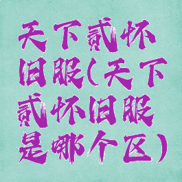 天下贰怀旧服(天下贰怀旧服是哪个区)