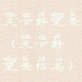 天下野望录(天下野望录结局)