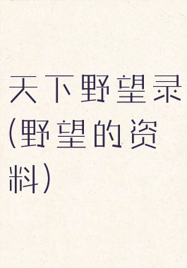 天下野望录(野望的资料)