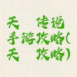 天乩传说手游攻略(天穂攻略)