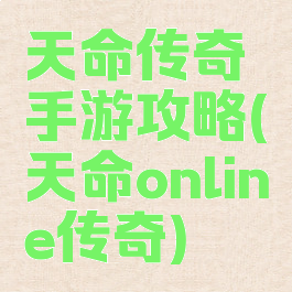 天命传奇手游攻略(天命online传奇)