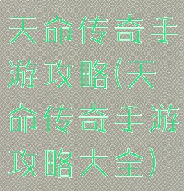 天命传奇手游攻略(天命传奇手游攻略大全)