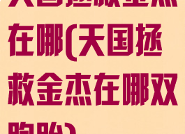 天国拯救金杰在哪(天国拯救金杰在哪双胞胎)