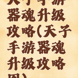 天子手游器魂升级攻略(天子手游器魂升级攻略图)