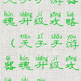 天子手游器魂升级攻略(天子手游器魂升级攻略视频)