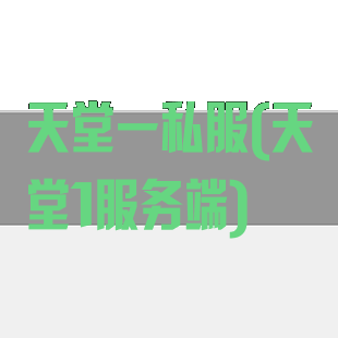天堂一私服(天堂1服务端)