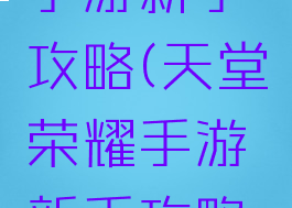 天堂荣耀手游新手攻略(天堂荣耀手游新手攻略视频)