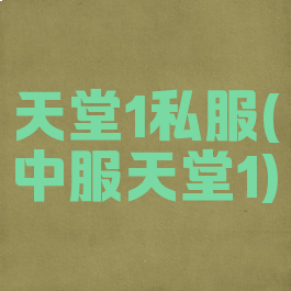 天堂1私服(中服天堂1)