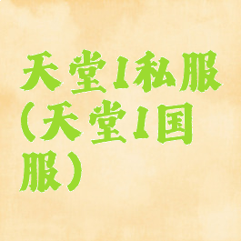 天堂1私服(天堂1国服)