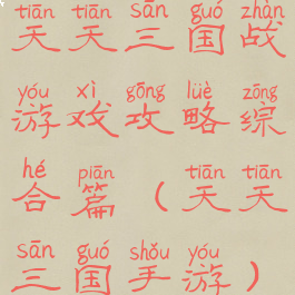 天天三国战游戏攻略综合篇(天天三国手游)
