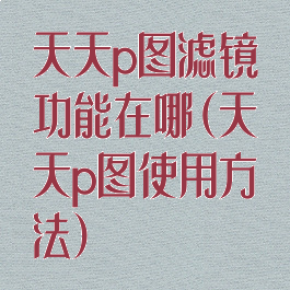 天天p图滤镜功能在哪(天天p图使用方法)