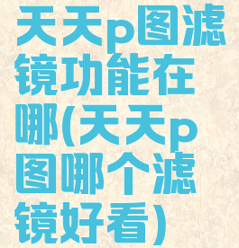 天天p图滤镜功能在哪(天天p图哪个滤镜好看)